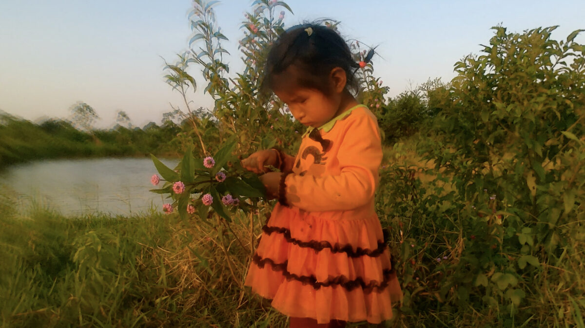 Amazing Fantasy - Galerie Imane Farès