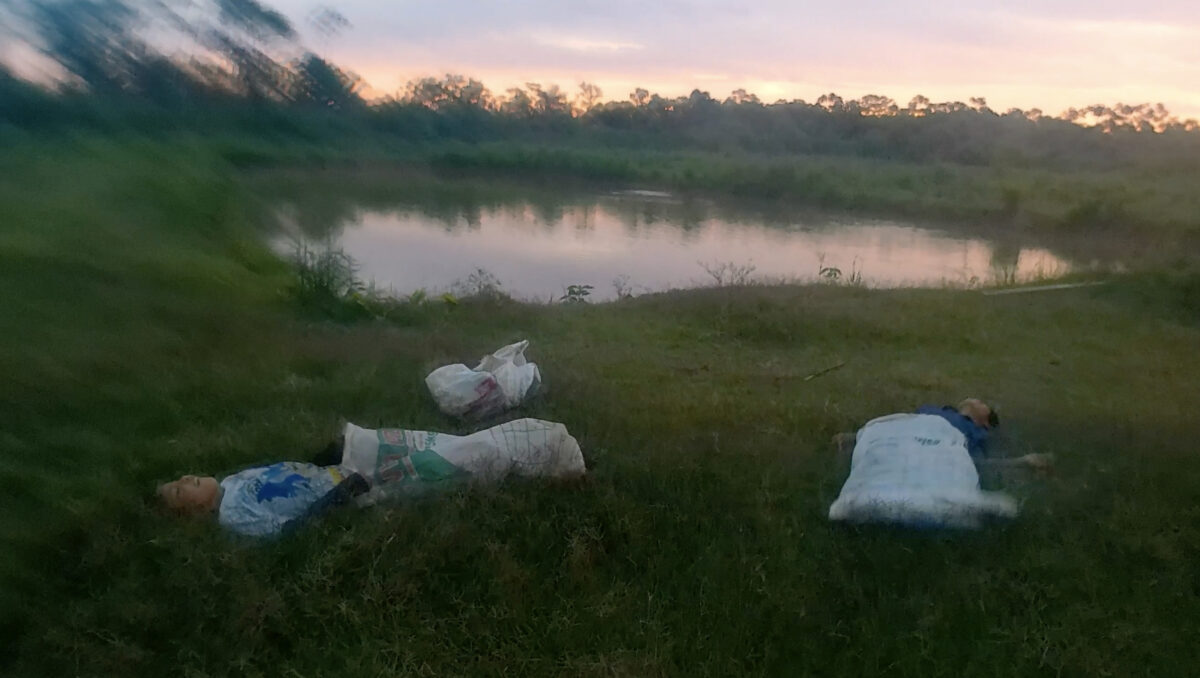 Amazing Fantasy - Galerie Imane Farès