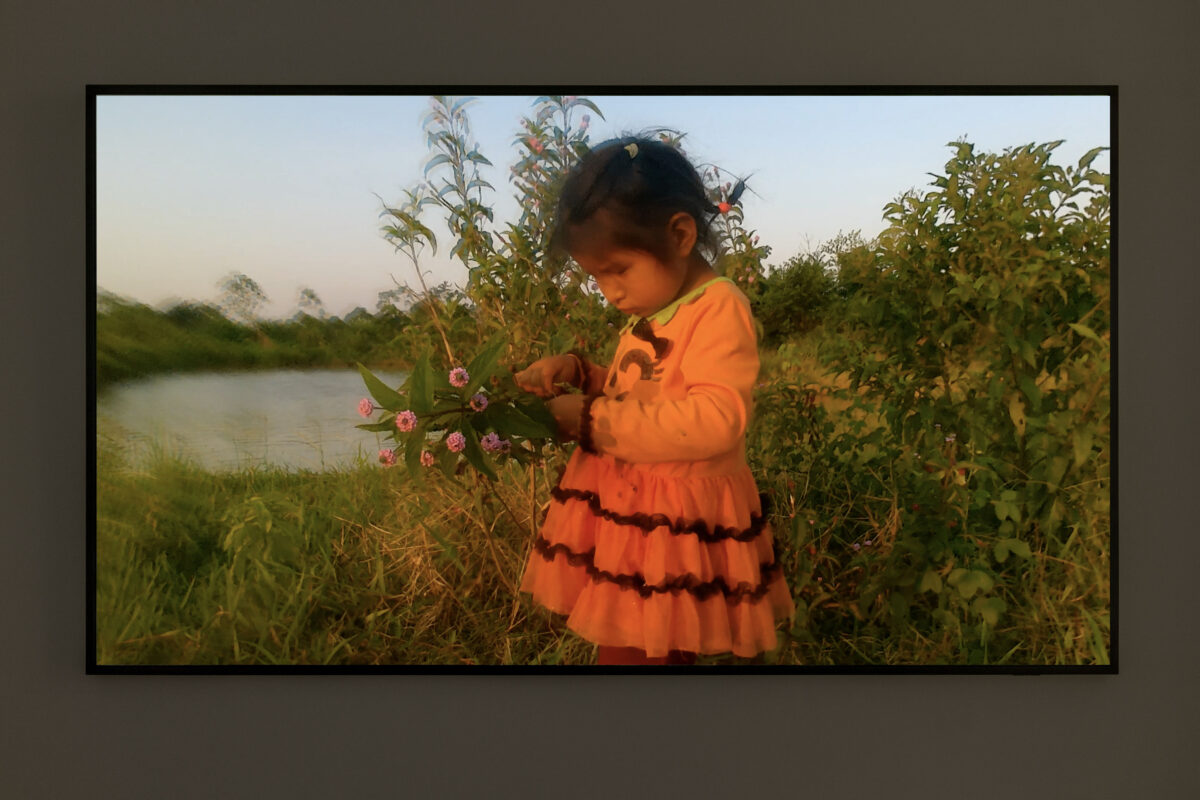 Amazing Fantasy - Galerie Imane Farès