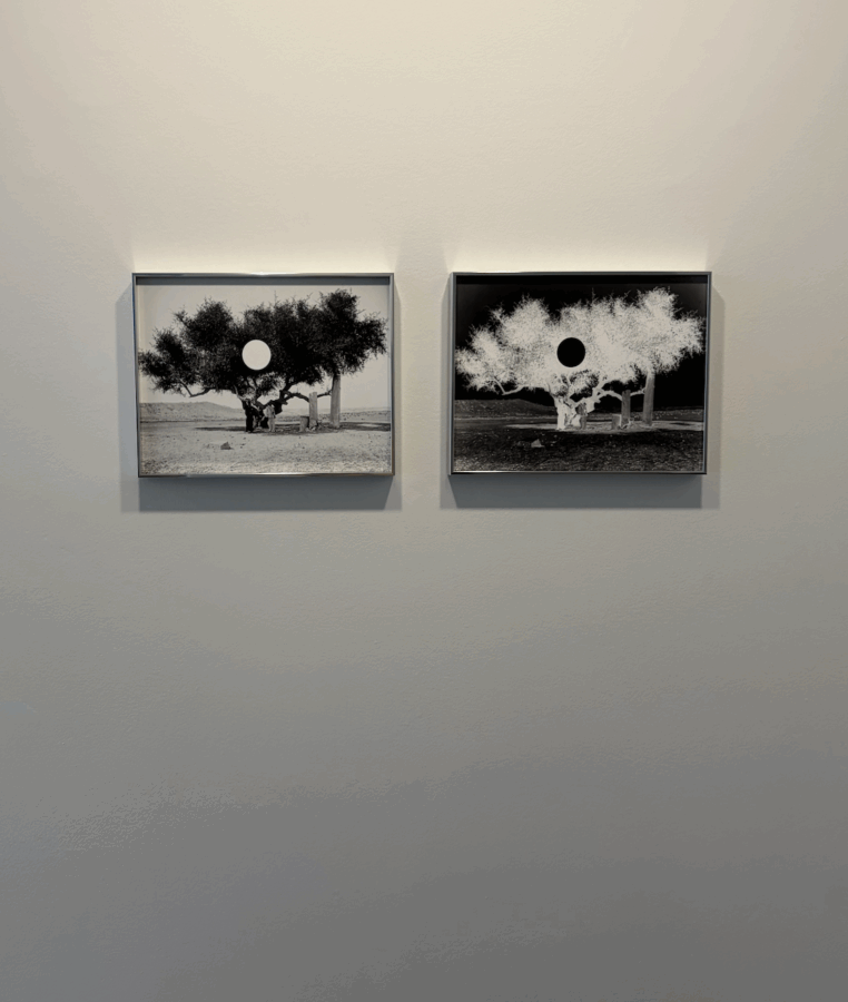 The Plantation Plot - Galerie Imane Farès