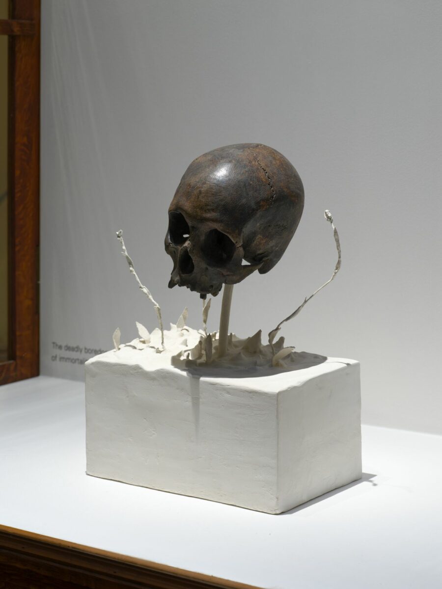 Vingt-quatre fantômes par seconde – Bourse de Commerce – Pinault Collection - Galerie Imane Farès