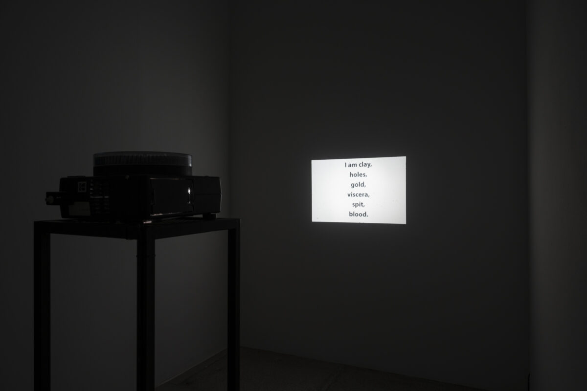 How I Am Monument – Secession - Galerie Imane Farès