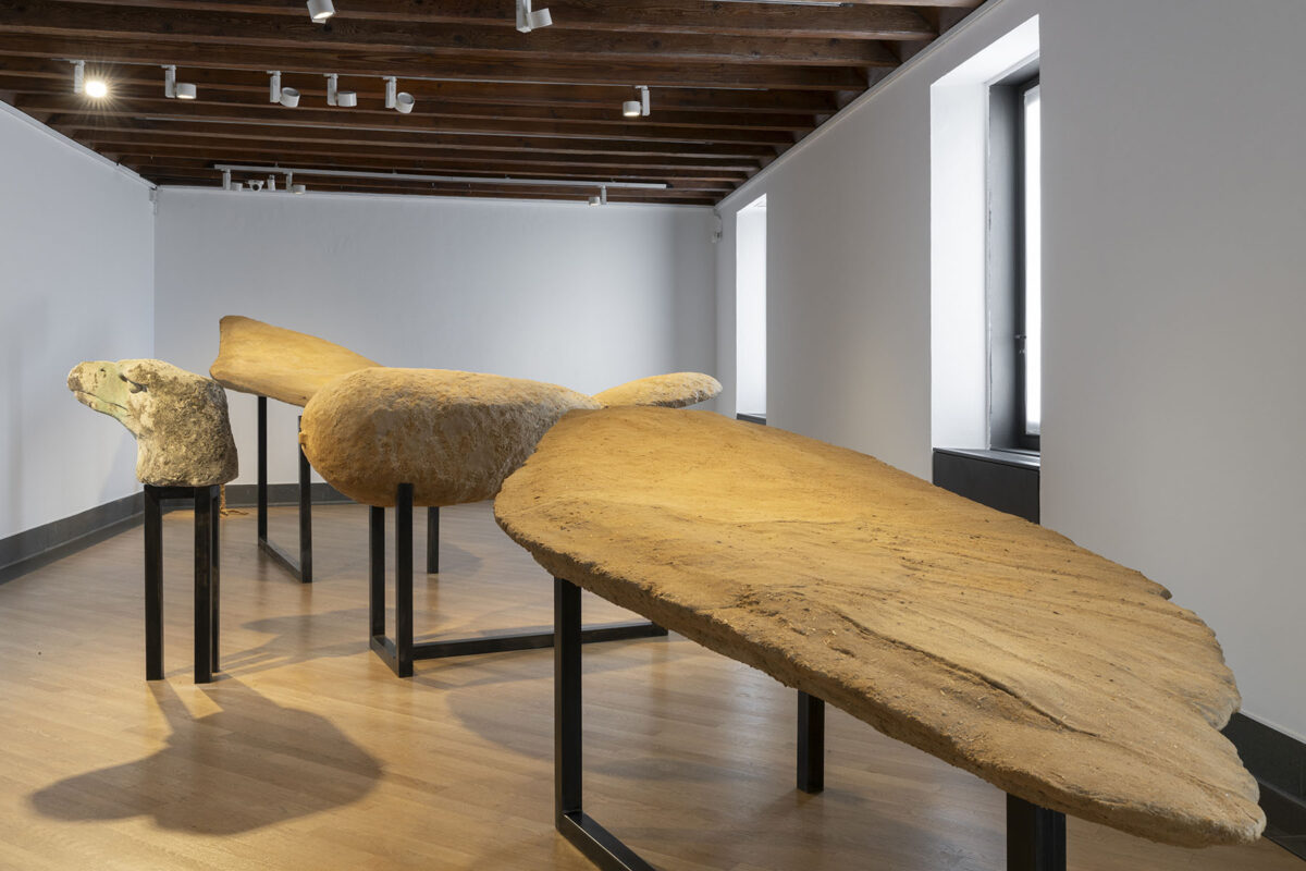Dreamless Night – GAMeC - Galerie Imane Farès
