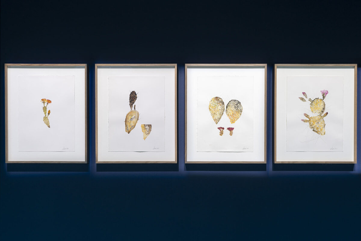 Dreamless Night – GAMeC - Galerie Imane Farès