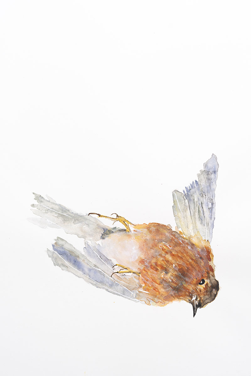 Dreamless Night – GAMeC - Galerie Imane Farès