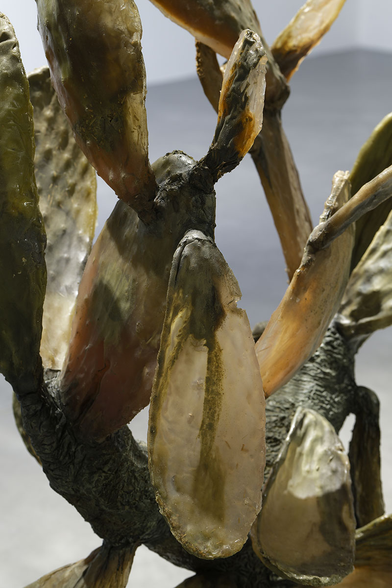 Le songe d’une nuit sans rêve – Frac Bretagne - Galerie Imane Farès