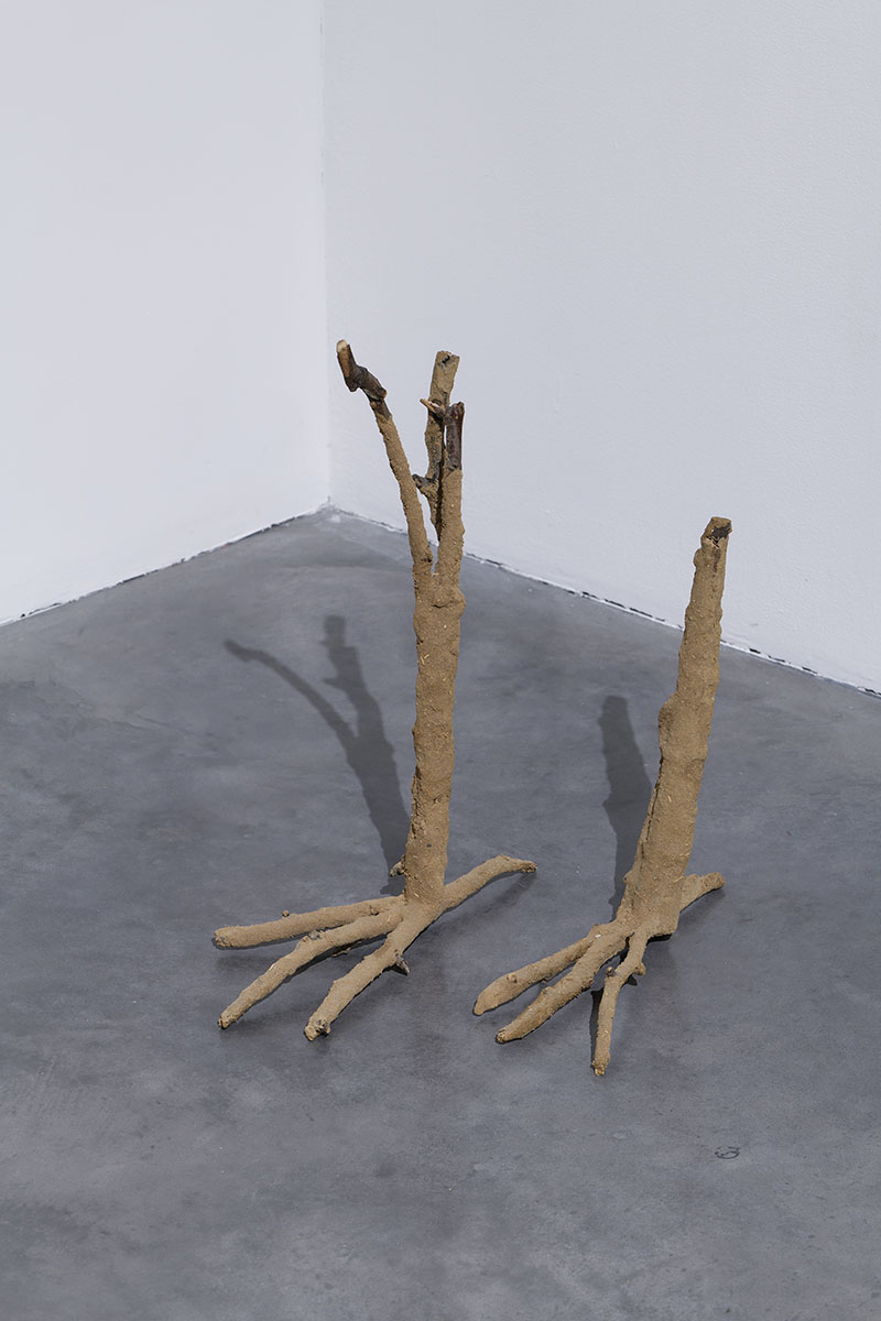 Le songe d’une nuit sans rêve – Frac Bretagne - Galerie Imane Farès