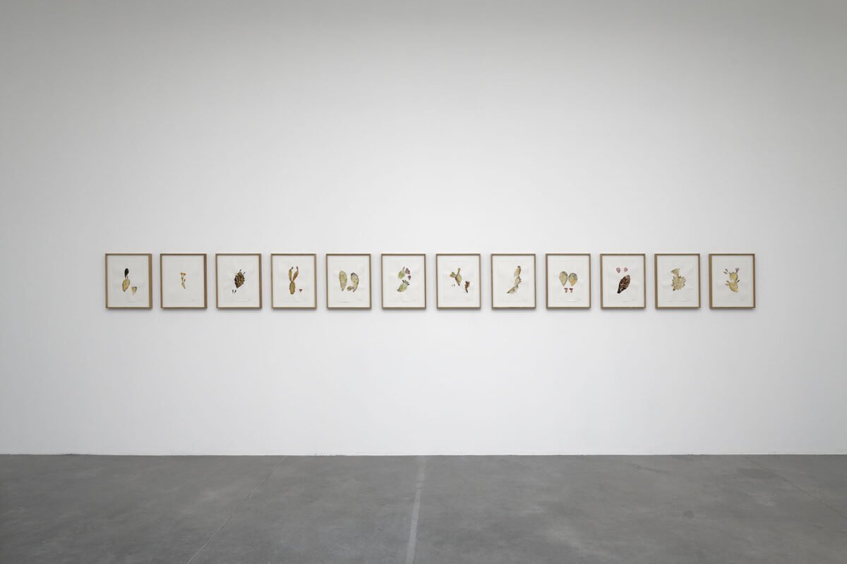Le songe d’une nuit sans rêve – Frac Bretagne - Galerie Imane Farès