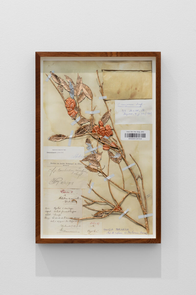 Sammy Baloji – Goldsmiths CCA - Galerie Imane Farès