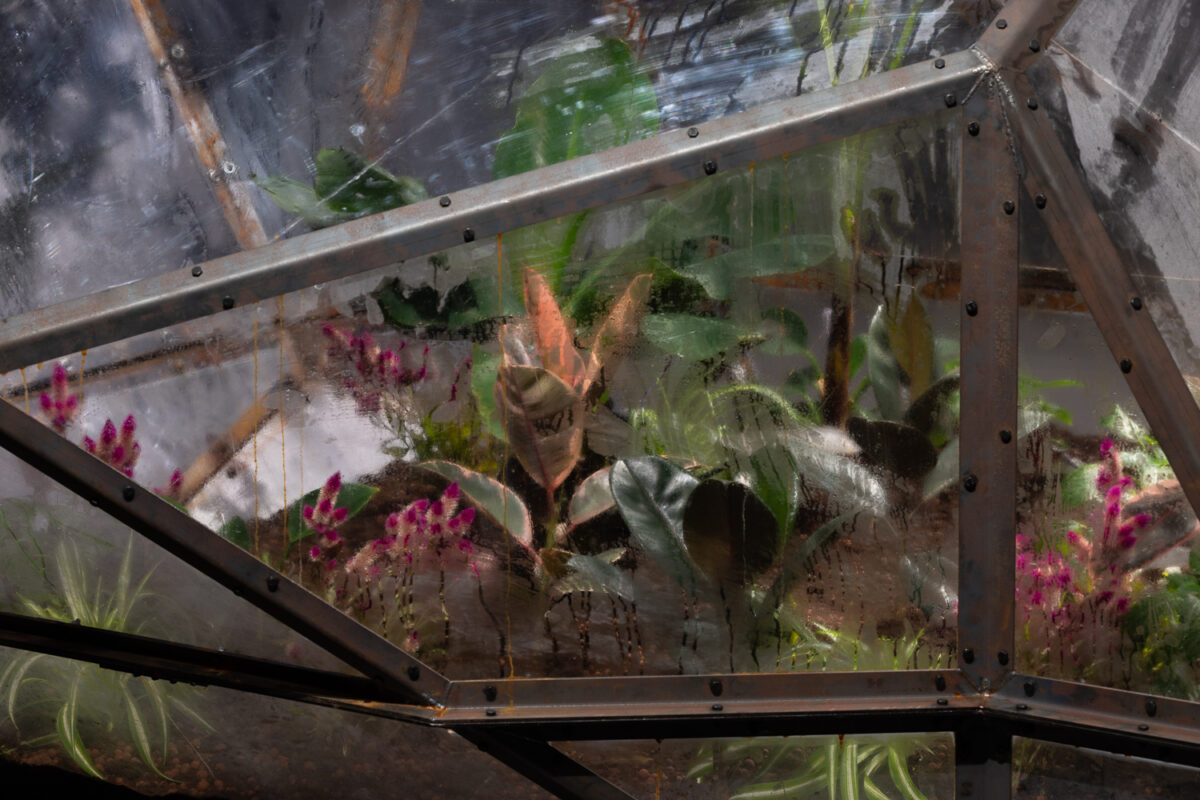 Sammy Baloji – Goldsmiths CCA - Galerie Imane Farès