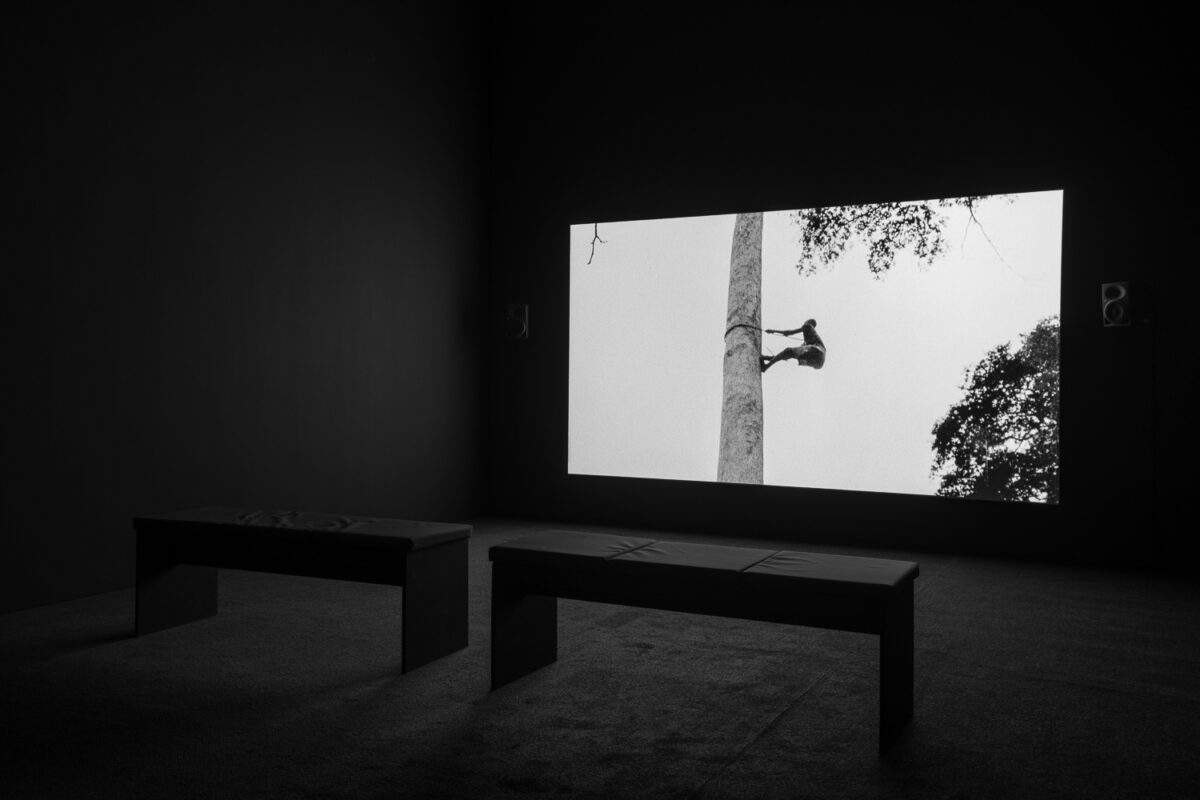 Sammy Baloji – Goldsmiths CCA - Galerie Imane Farès