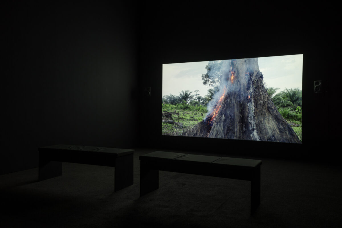 Sammy Baloji – Goldsmiths CCA - Galerie Imane Farès