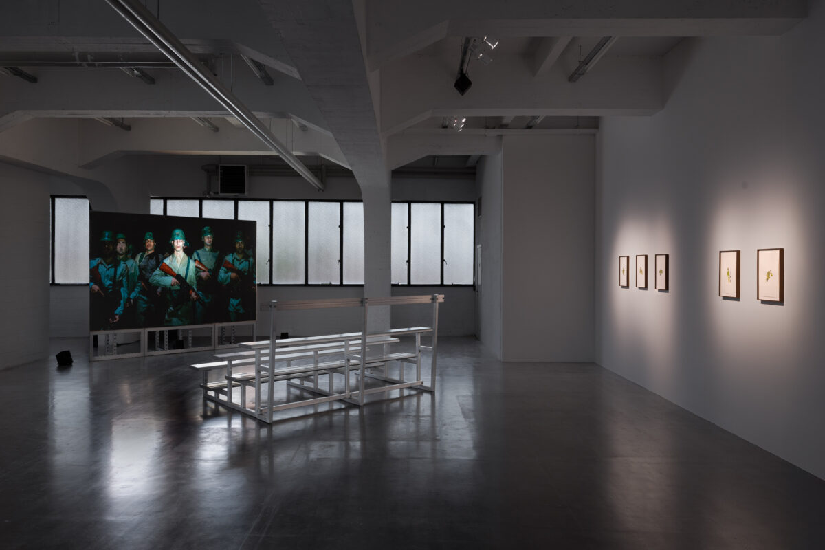 Soul Witness – WIELS - Galerie Imane Farès