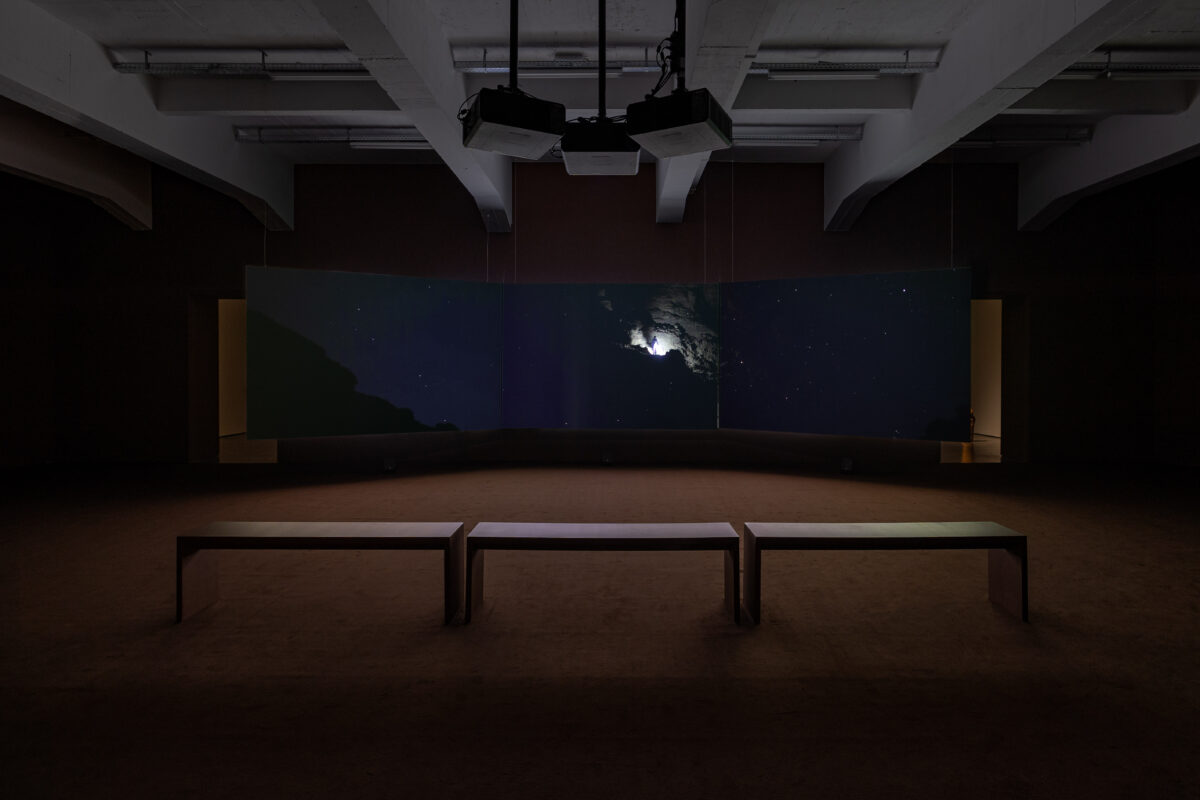 Soul Witness – WIELS - Galerie Imane Farès