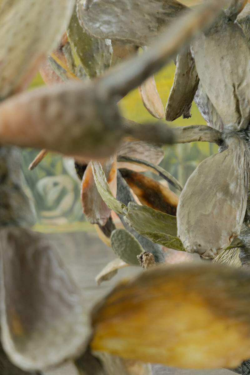 Soul Witness – WIELS - Galerie Imane Farès